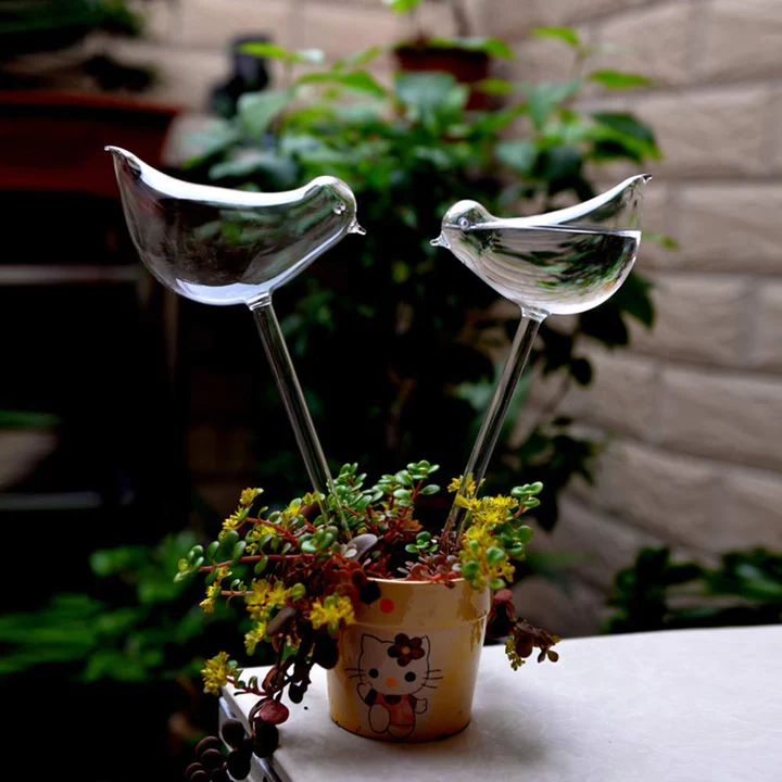 self watering glass birds 