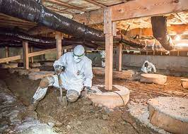 crawl space cleaning