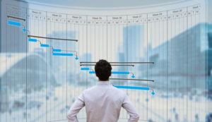 Project management