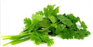 wellhealthorganic.com : coriander-leaves-5-best-health-benefits