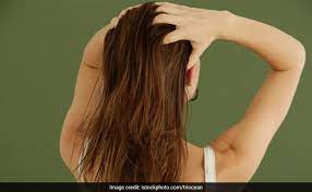 wellhealthorganic.com:ayurvedic-treatment-of-hair-problem