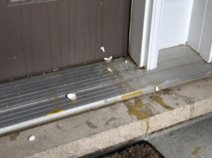 Is Egging a House a Crime