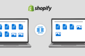 The Ultimate Guide to Shopify Migration: Why and How to Make the Move