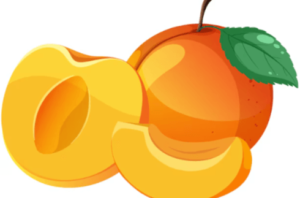 Clipart:Sak7dor2moy= Peach
