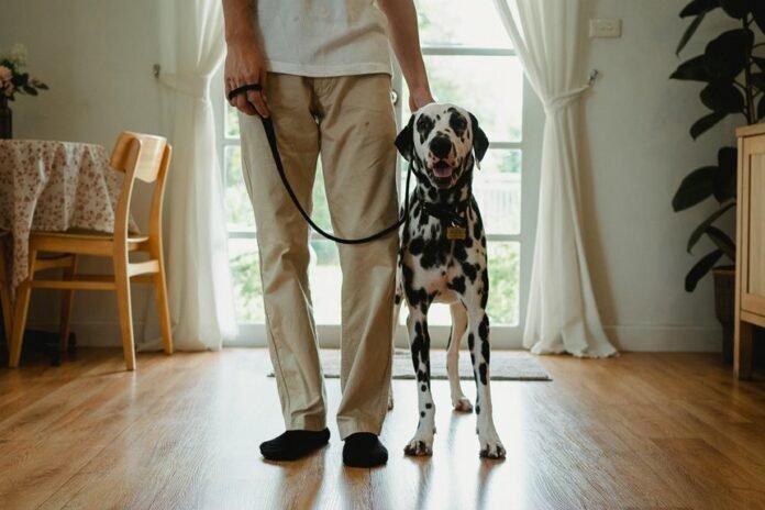 caller safety observations alert