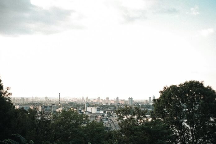 digital advantage in dominance