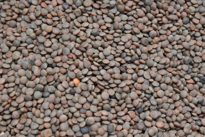 enhance market pulse lens enhance market pulse lens