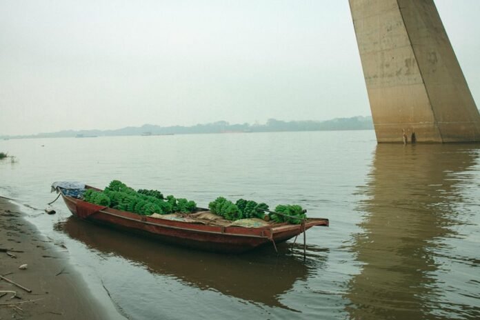 market expansion strategy implementation