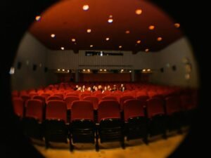 optimize audience horizon lens