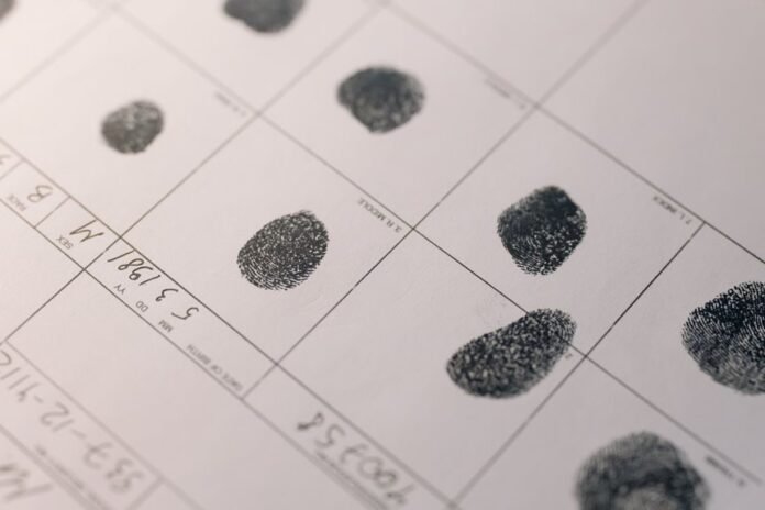 search registry intelligence files ids