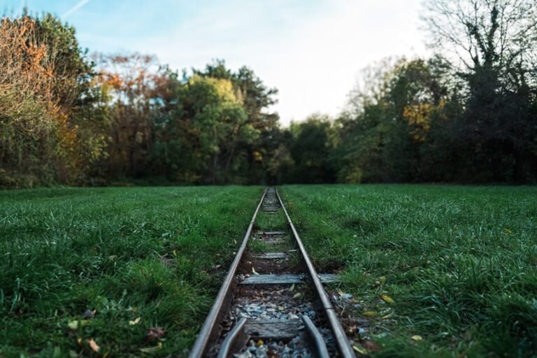track registry lookup numbers listed